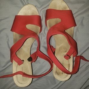 Red wedges
